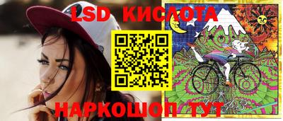 Альфа ПВП Можга