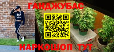 Альфа ПВП Можга