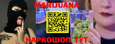 Альфа ПВП Можга