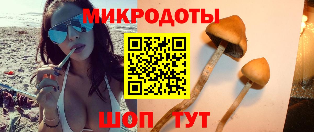 Галлюциногенные грибы Cubensis Каменск-Уральский