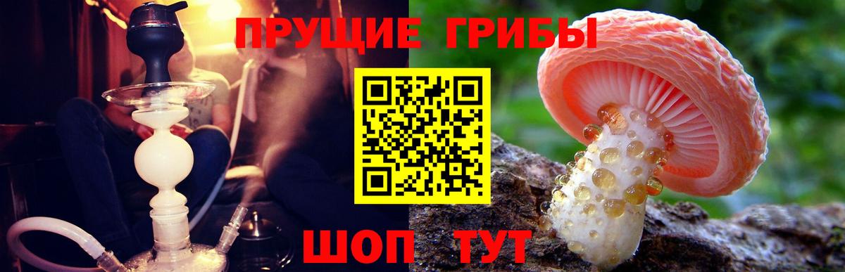 Галлюциногенные грибы ЛСД  Вход с VPN  Каменск-Уральский  Псилоцибиновые грибы MAGIC MUSHROOMS 