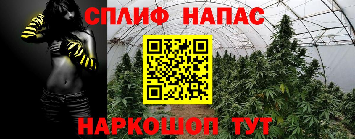 Бошки марихуана сатива Каменск-Уральский